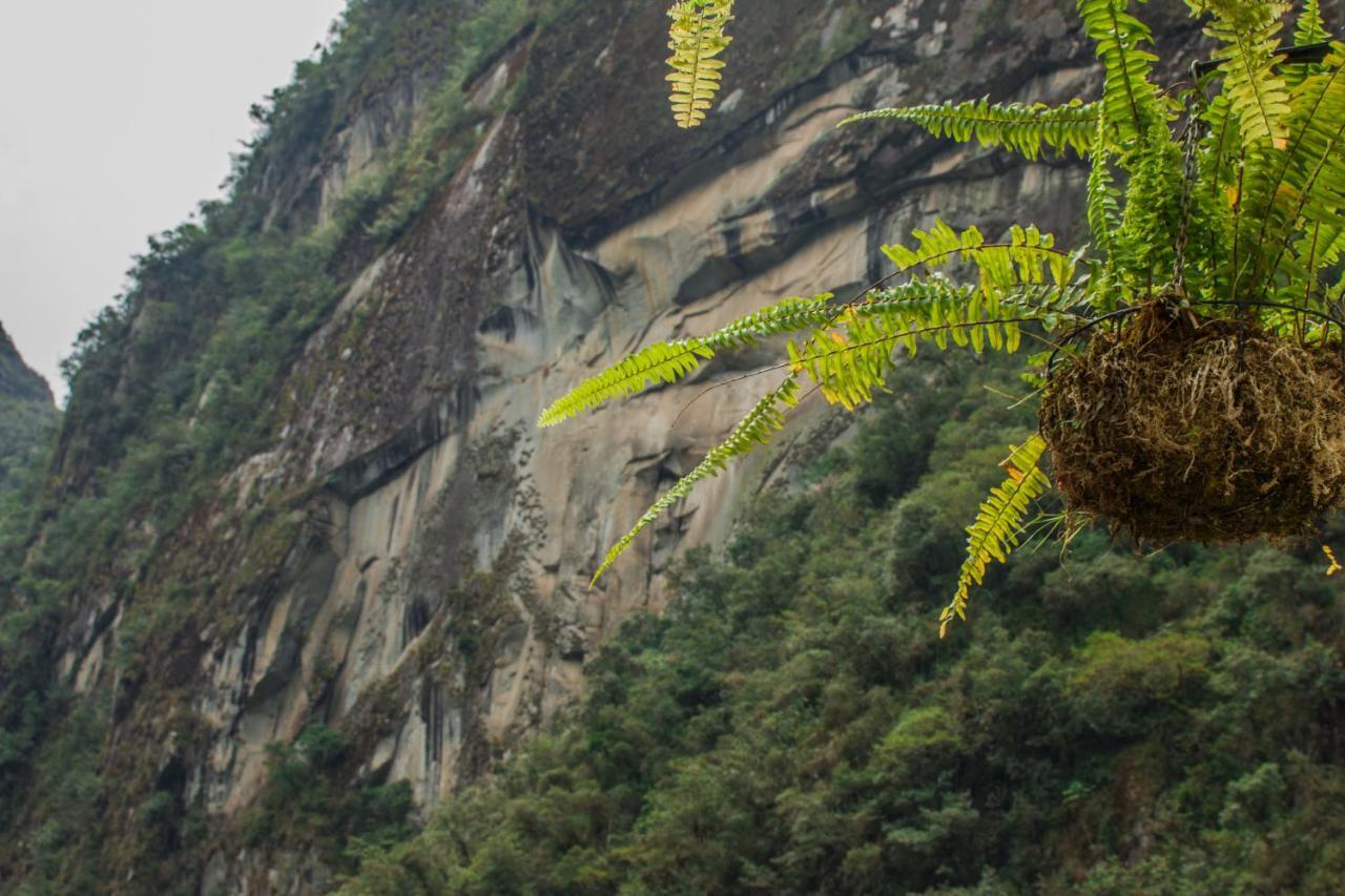 Runas Inn Machupicchu Exterior photo